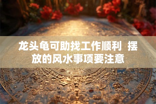 龙头龟可助找工作顺利  摆放的风水事项要注意