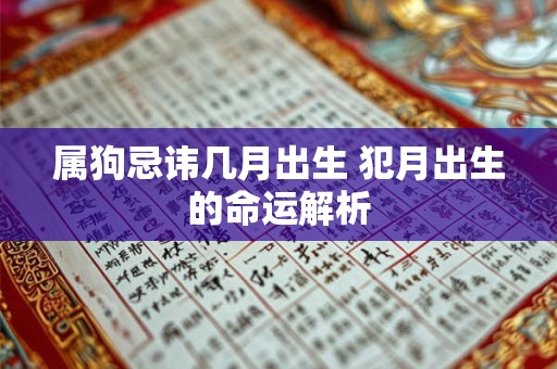 属狗忌讳几月出生 犯月出生的命运解析