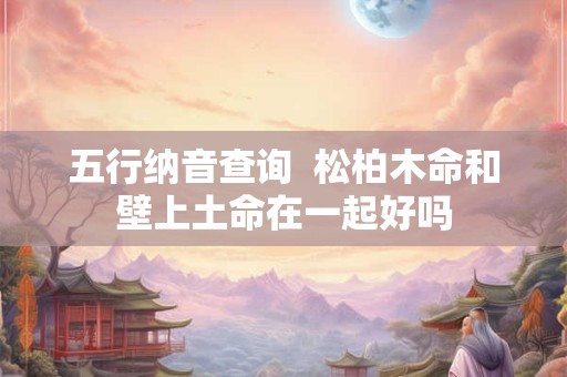 五行纳音查询  松柏木命和壁上土命在一起好吗