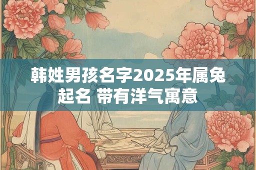 韩姓男孩名字2025年属兔起名 带有洋气寓意