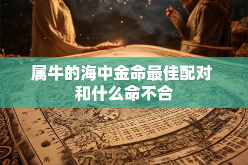 属牛的海中金命最佳配对 和什么命不合