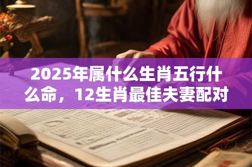 2025年属什么生肖五行什么命，12生肖最佳夫妻配对