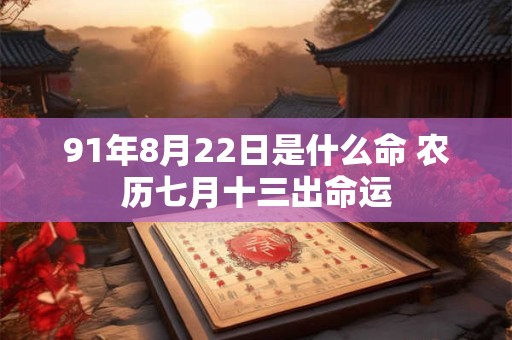 91年8月22日是什么命 农历七月十三出命运