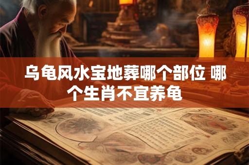 乌龟风水宝地葬哪个部位 哪个生肖不宜养龟