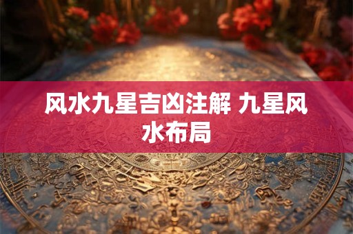 风水九星吉凶注解 九星风水布局