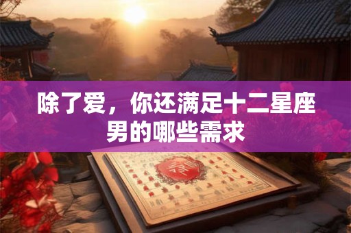 除了爱，你还满足十二星座男的哪些需求