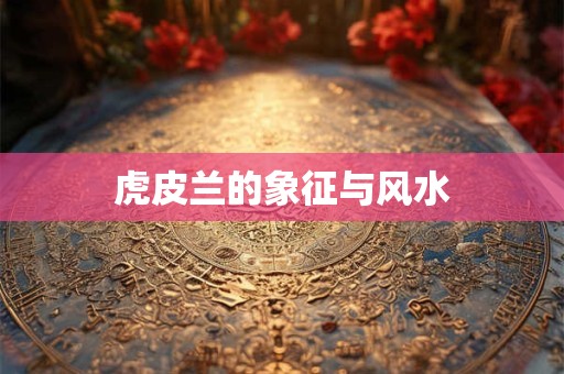 虎皮兰的象征与风水
