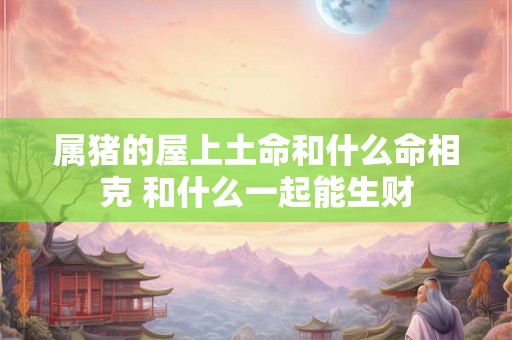 属猪的屋上土命和什么命相克 和什么一起能生财