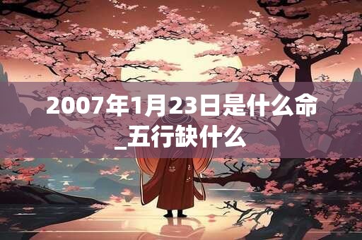 2007年1月23日是什么命_五行缺什么
