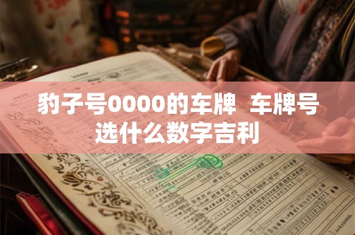 豹子号0000的车牌  车牌号选什么数字吉利