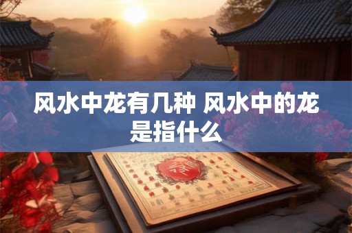 风水中龙有几种 风水中的龙是指什么
