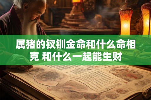 属猪的钗钏金命和什么命相克 和什么一起能生财