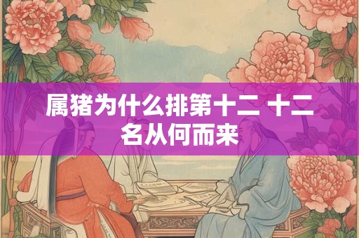 属猪为什么排第十二 十二名从何而来
