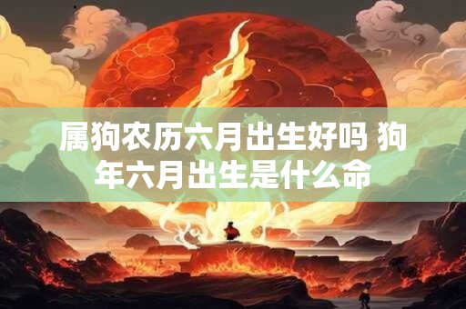 属狗农历六月出生好吗 狗年六月出生是什么命