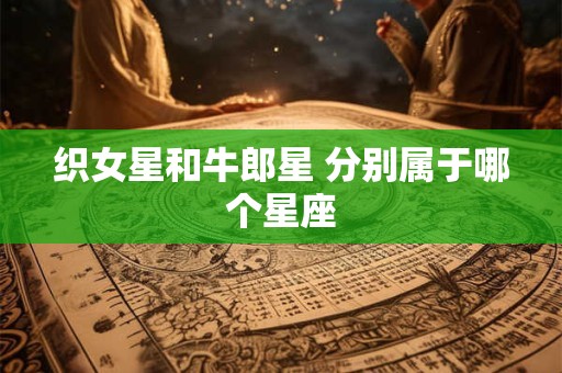 织女星和牛郎星 分别属于哪个星座