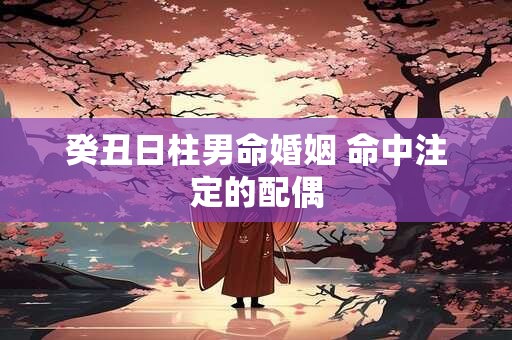癸丑日柱男命婚姻 命中注定的配偶
