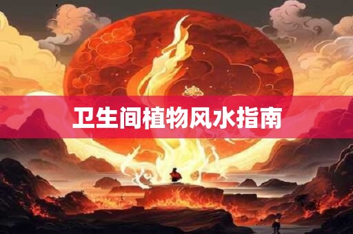 卫生间植物风水指南