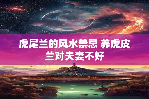 虎尾兰的风水禁忌 养虎皮兰对夫妻不好