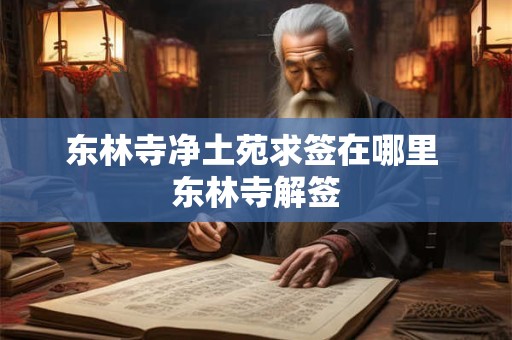 东林寺净土苑求签在哪里 东林寺解签