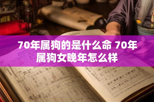 70年属狗的是什么命 70年属狗女晚年怎么样 70年属狗的是什么命 70年属狗女晚年怎么样