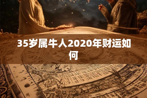 35岁属牛人2020年财运如何