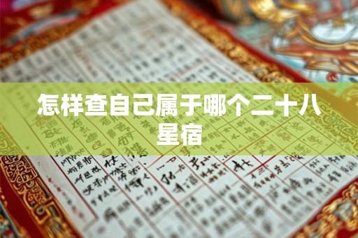 怎样查自己属于哪个二十八星宿