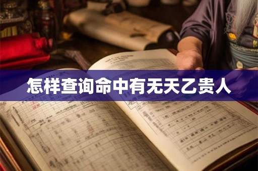 怎样查询命中有无天乙贵人