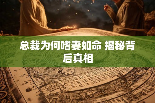 总裁为何嗜妻如命 揭秘背后真相