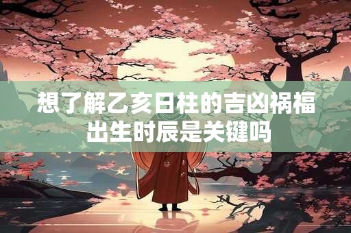 想了解乙亥日柱的吉凶祸福 出生时辰是关键吗