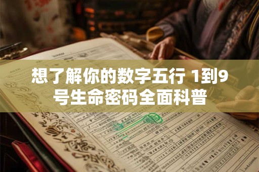 想了解你的数字五行 1到9号生命密码全面科普