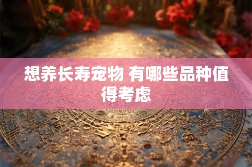 想养长寿宠物 有哪些品种值得考虑