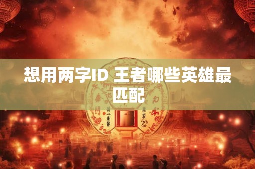 想用两字ID 王者哪些英雄最匹配