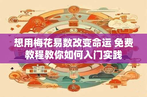 想用梅花易数改变命运 免费教程教你如何入门实践