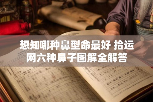 想知哪种鼻型命最好 拾运网六种鼻子图解全解答