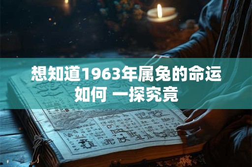 想知道1963年属兔的命运如何 一探究竟