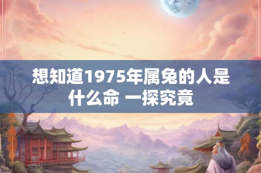 想知道1975年属兔的人是什么命 一探究竟