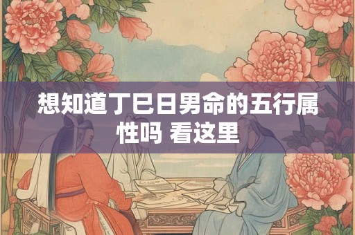 想知道丁巳日男命的五行属性吗 看这里