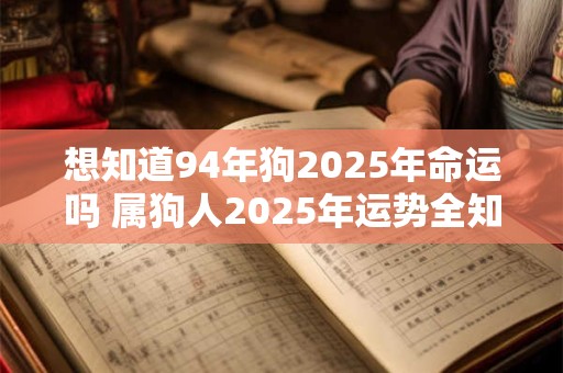 想知道94年狗2025年命运吗 属狗人2025年运势全知道
