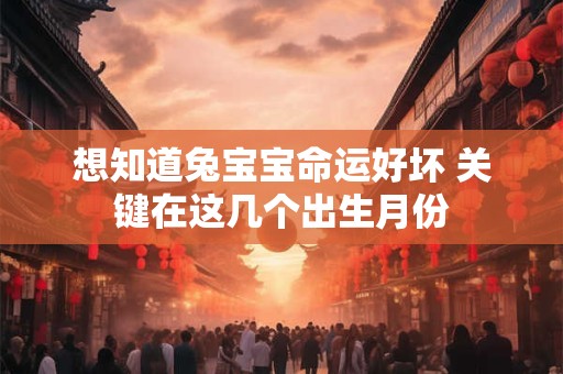 想知道兔宝宝命运好坏 关键在这几个出生月份