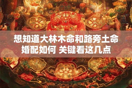 想知道大林木命和路旁土命婚配如何 关键看这几点