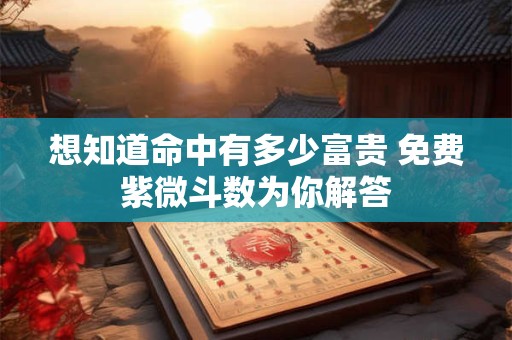 想知道命中有多少富贵 免费紫微斗数为你解答