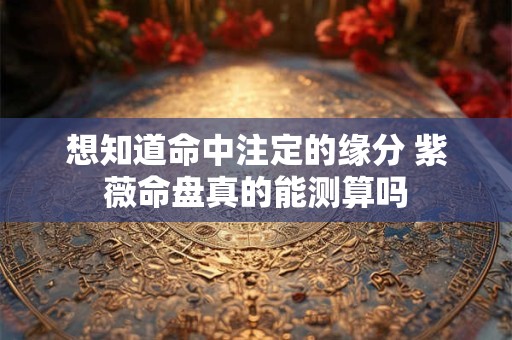 想知道命中注定的缘分 紫薇命盘真的能测算吗