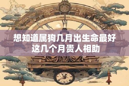 想知道属狗几月出生命最好 这几个月贵人相助