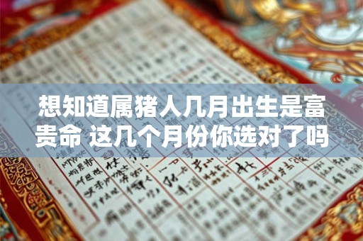 想知道属猪人几月出生是富贵命 这几个月份你选对了吗
