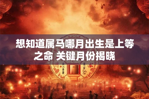 想知道属马哪月出生是上等之命 关键月份揭晓