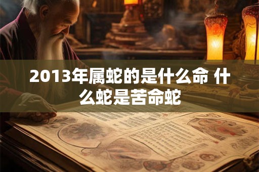 2013年属蛇的是什么命 什么蛇是苦命蛇
