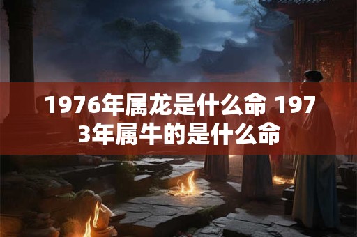 1976年属龙是什么命 1973年属牛的是什么命