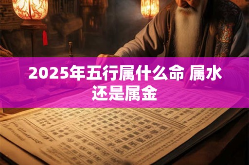 2025年五行属什么命 属水还是属金