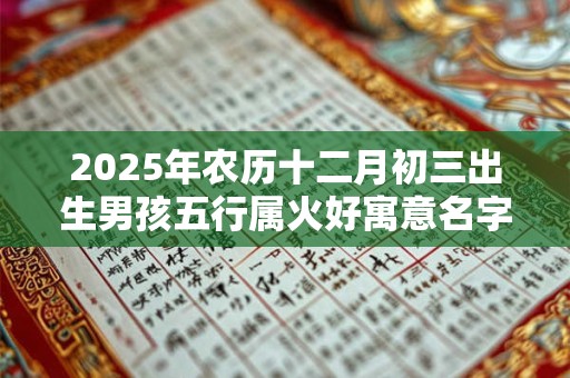 2025年农历十二月初三出生男孩五行属火好寓意名字