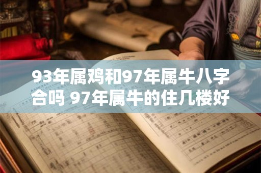 93年属鸡和97年属牛八字合吗 97年属牛的住几楼好